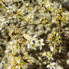 20220410173719-a164ed55